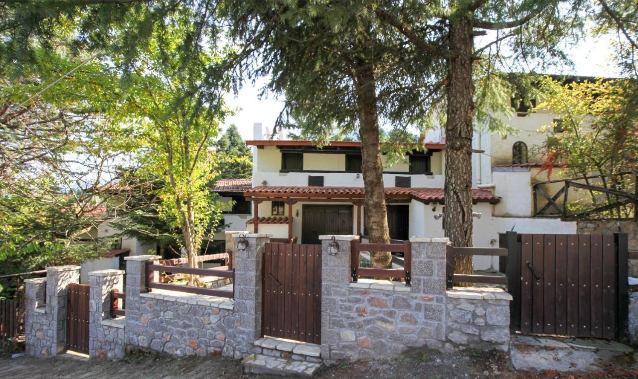 Dandy Villas Agoriani - Chalet Ivoni - Fireplace Eptalofos Exterior photo